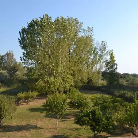 Beach House Into The Green! Preveza Exterior photo