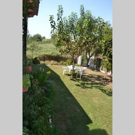 Beach House Into The Green! Preveza Exterior photo
