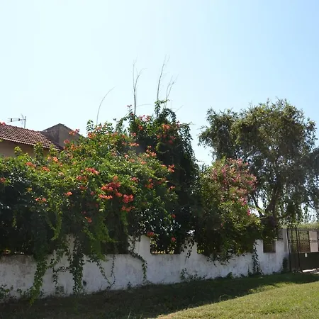 Beach House Into The Green! Preveza Exterior photo