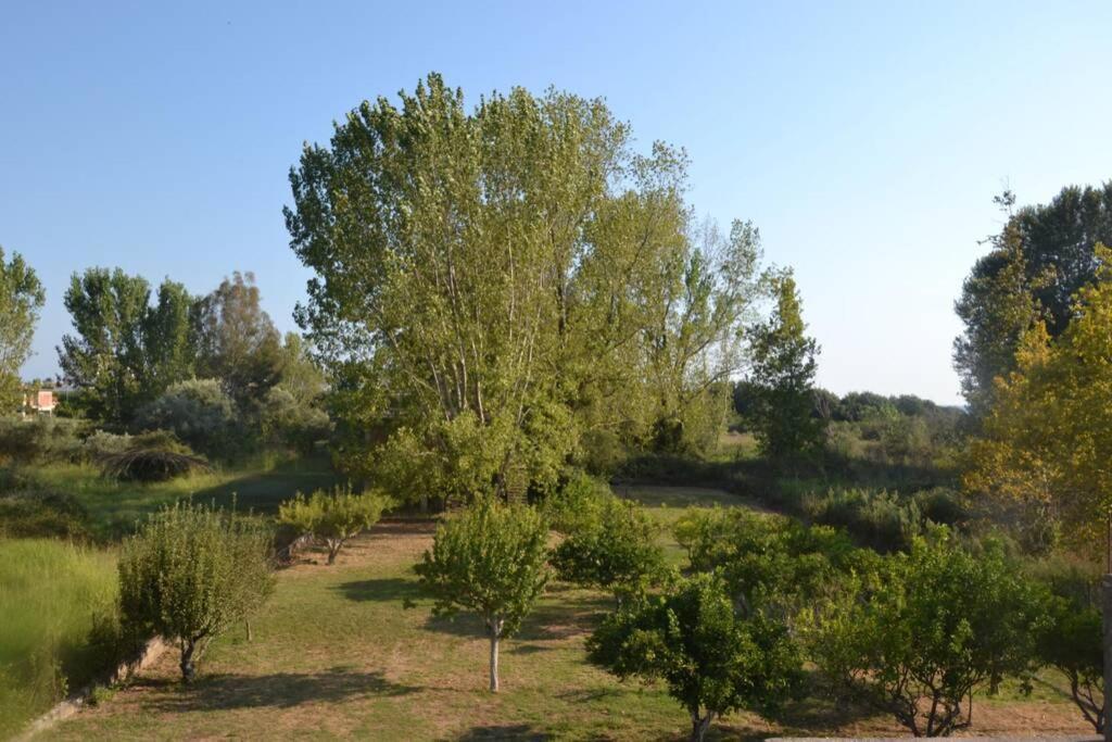 House Into The Green! * Preveza