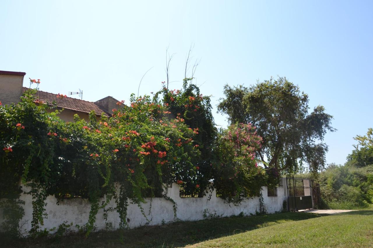 בית נופש House Into The Green! פרבזה