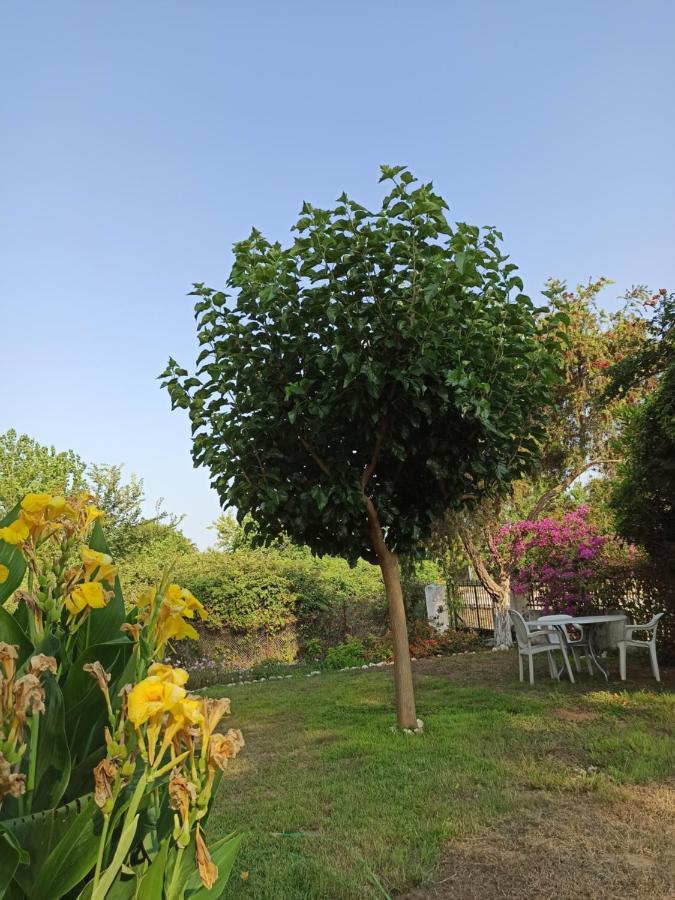 House Into The Green! Holiday home Preveza