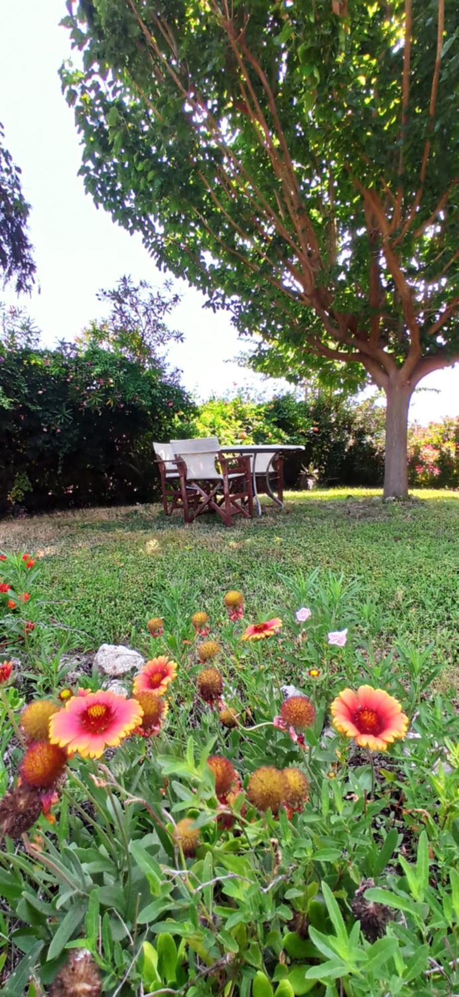 בית נופש House Into The Green! *